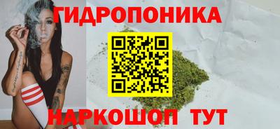a pvp Сланцы