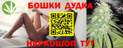 a pvp Сланцы