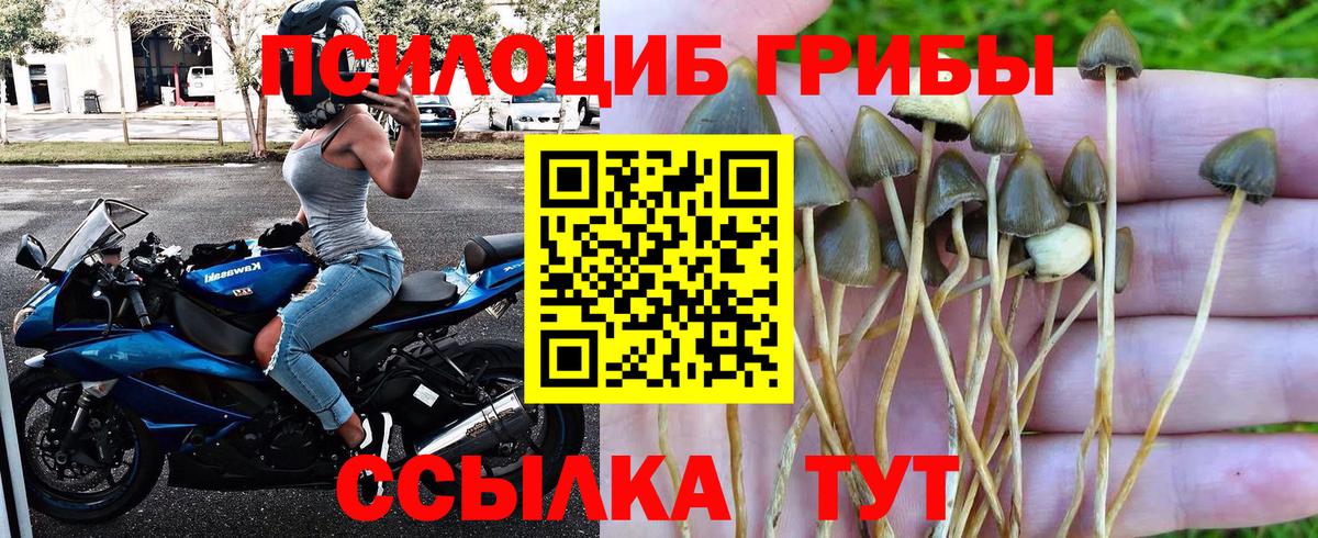 Псилоцибиновые грибы Magic Shrooms  Вход с VPN  Пушкино  Галлюциногенные грибы ЛСД 