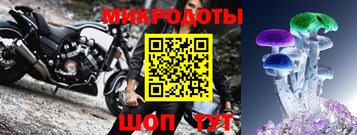 Псилоцибиновые грибы прущие грибы Пушкино